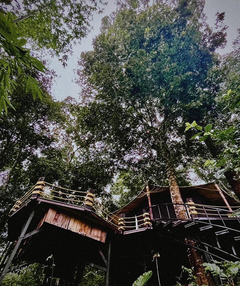 Lannawild Hotel Чиангмай Стая снимка